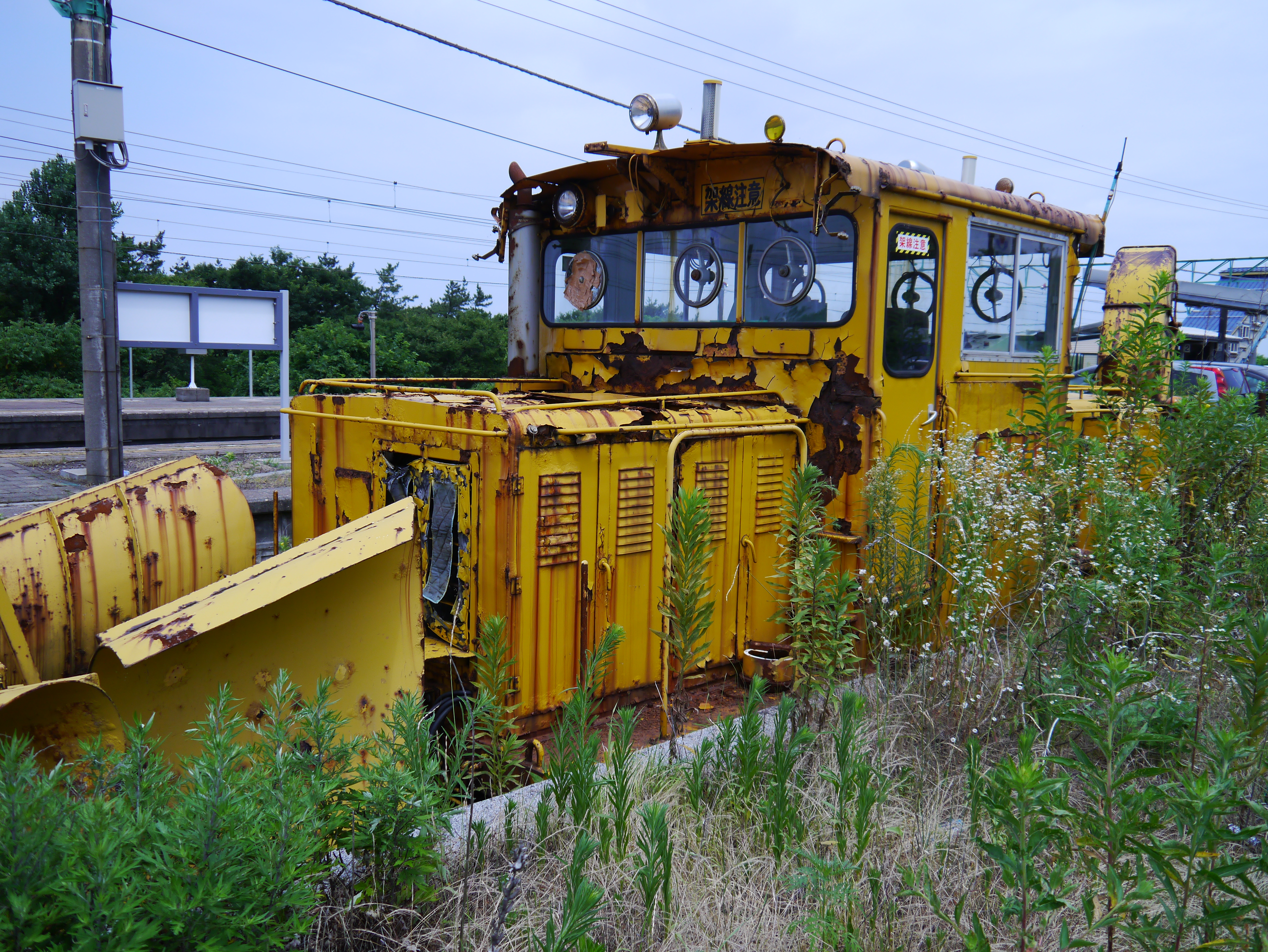 <b>ぼかしコントロール：ぼかす / DMC-G3 / LUMIX G VARIO 14-42mm F3.5-5.6 ASPH. MEGA O.I.S. / 約8.9MB / 4,592×3,448 / 1/2000秒 / F3.6 / 0EV / ISO160 / WB:オート / 15mm</b>