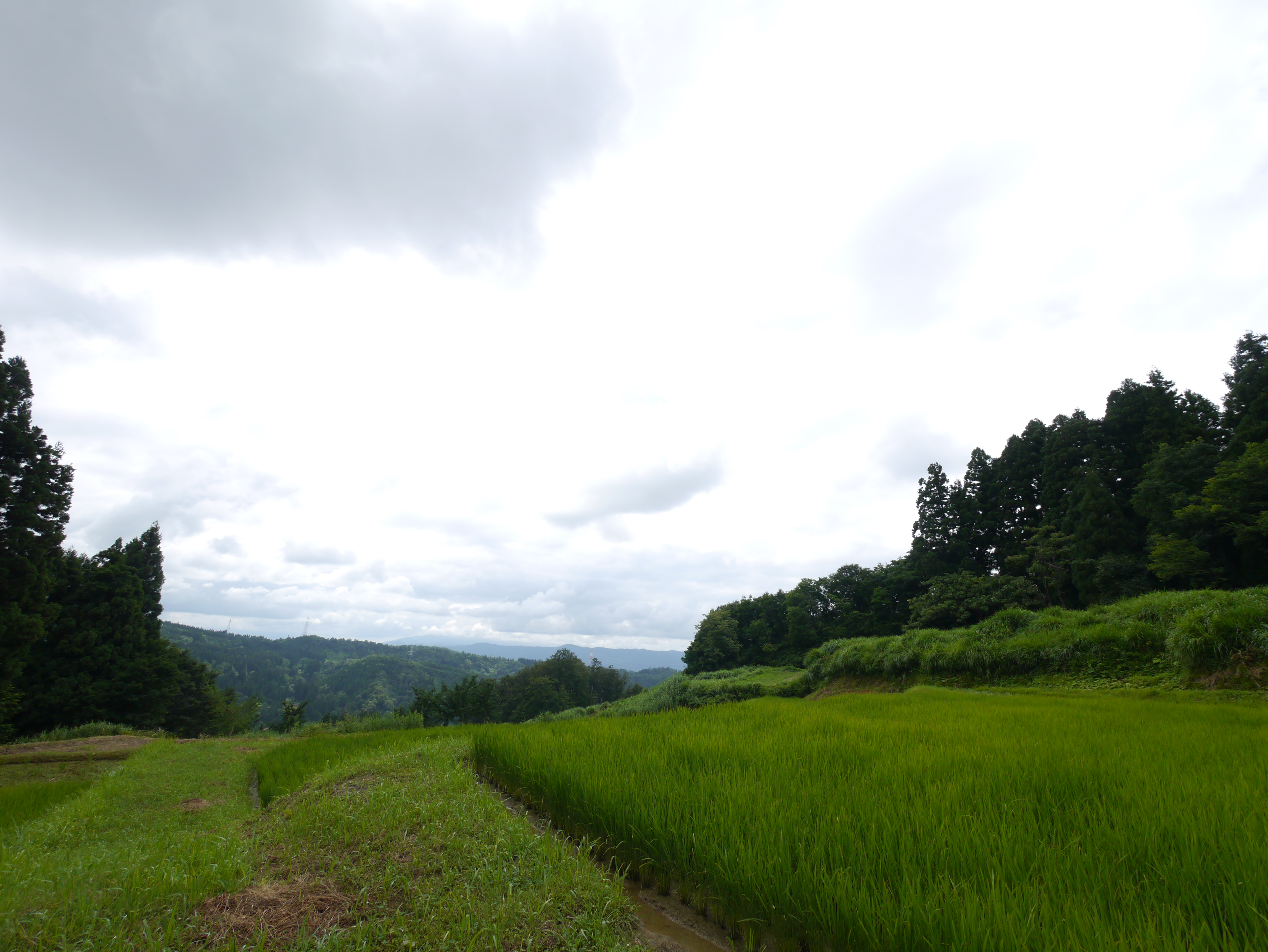 <b>撮影モード：プログラム（+1.3EV） / DMC-G3 / LUMIX G VARIO 7-14mm F4 ASPH. / 約5.5MB / 4,592×3,448 / 1/320秒 / F7 / +1.3EV / ISO160 / WB:オート / 7mm</b>