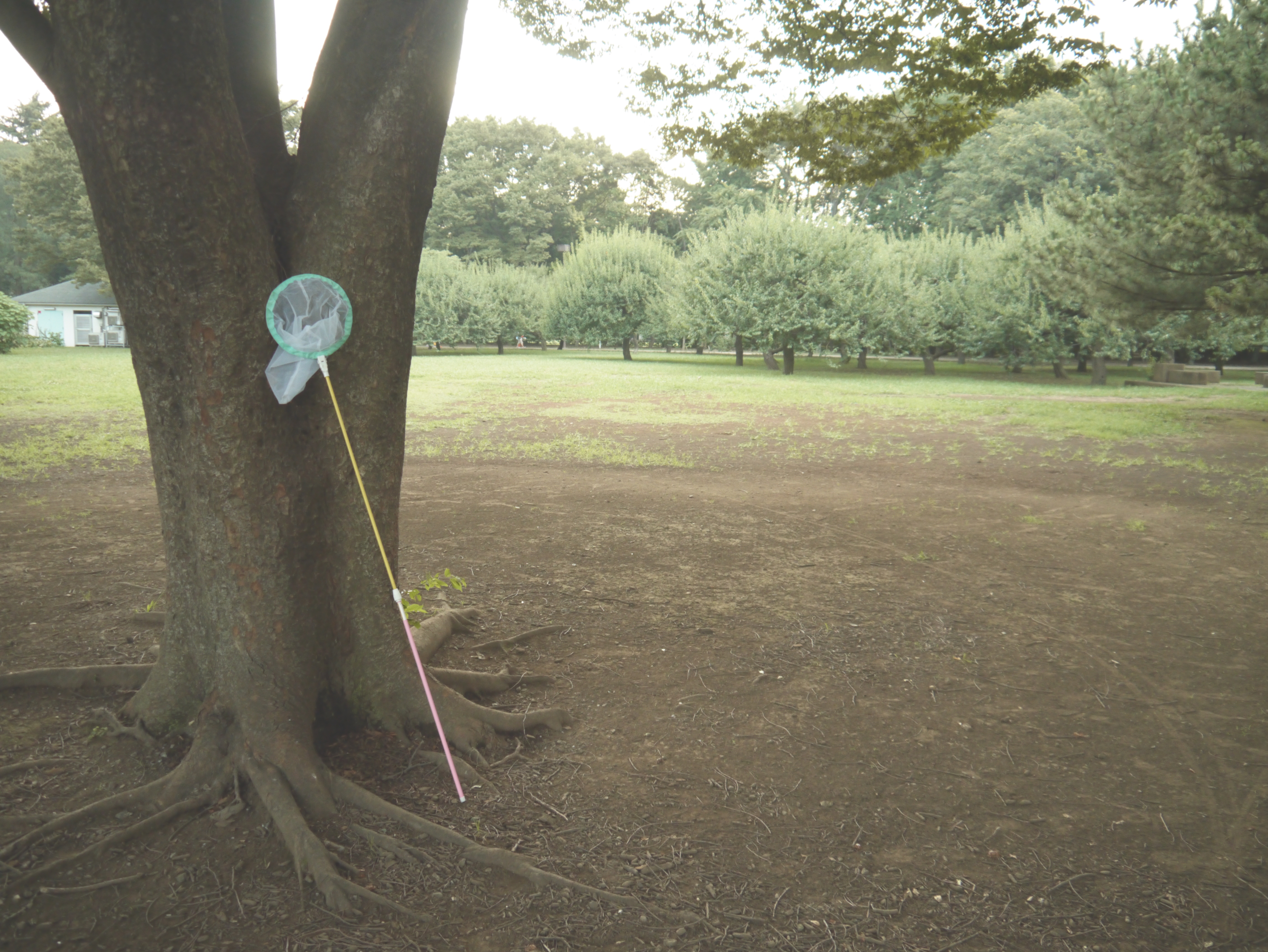 <b>DMC-G3 / LUMIX G VARIO 14-42mm F3.5-5.6 ASPH. MEGA O.I.S. / 約6.3MB / 4,592×3,448 / 1/60秒 / F3.5 / 0EV / ISO800 / WB:オート / 14mm</b>