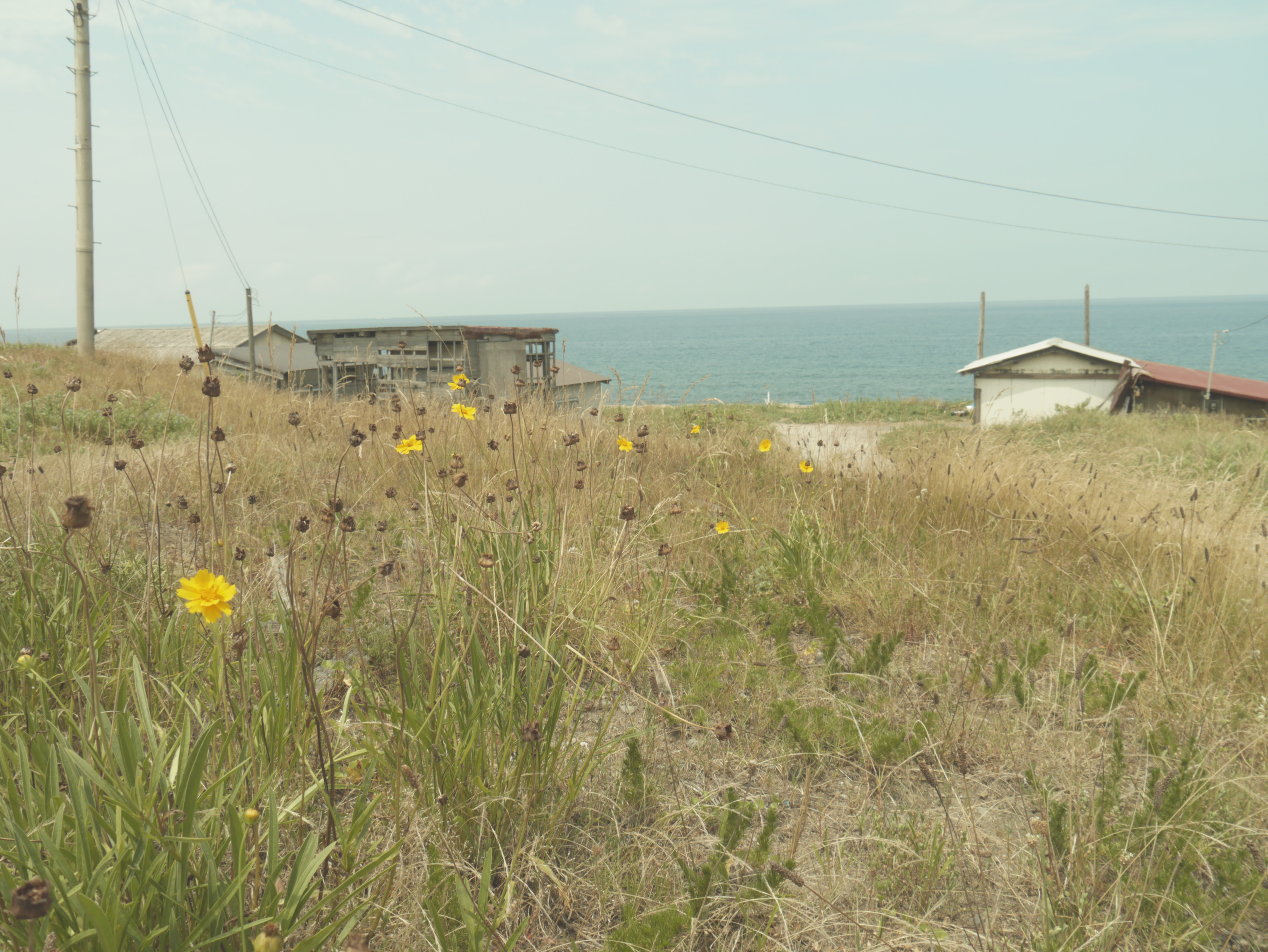 <b>DMC-G3 / LUMIX G VARIO 14-42mm F3.5-5.6 ASPH. MEGA O.I.S. / 約7MB / 4,592×3,448 / 1/400秒 / F8 / 0EV / ISO160 / WB:オート / 14mm</b>