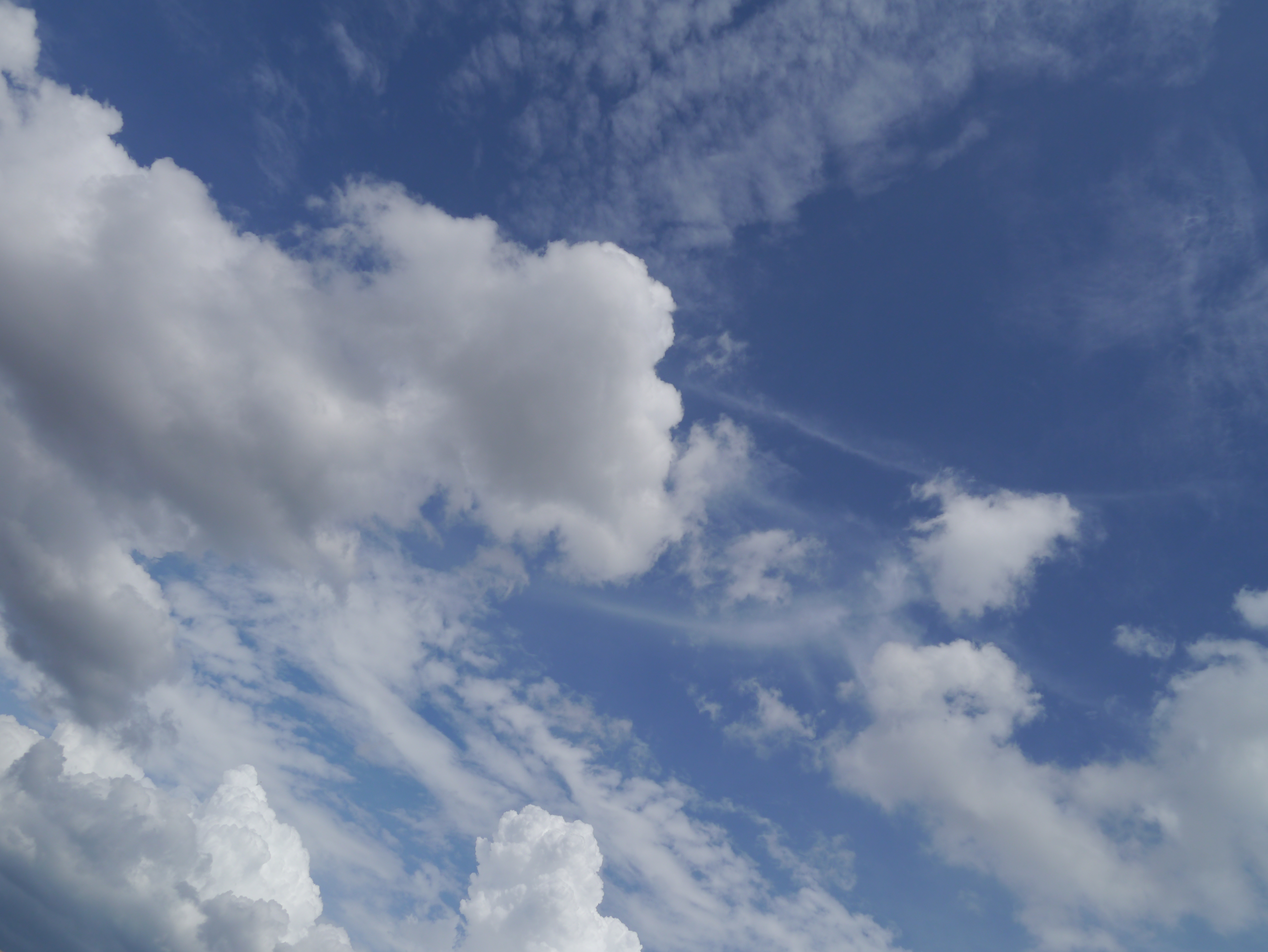 <b>DMC-G3 / LUMIX G VARIO 14-42mm F3.5-5.6 ASPH. MEGA O.I.S. / 約4.4MB / 4,592×3,448 / 1/800秒 / F10 / 0EV / ISO160 / WB:オート / 14mm</b>