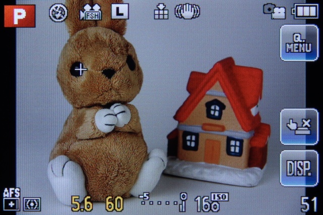 <b>新機能のピンポイントAFは合焦時にフォーカス位置の周囲を拡大表示する。その後、フォーカス位置を調整できる</b>