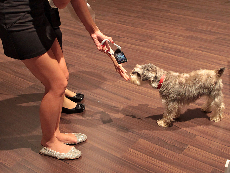 <b>持ち方の自由度が大きいのがEX-TR100の特徴。来場者は思い思いの持ち方で試していた</b>