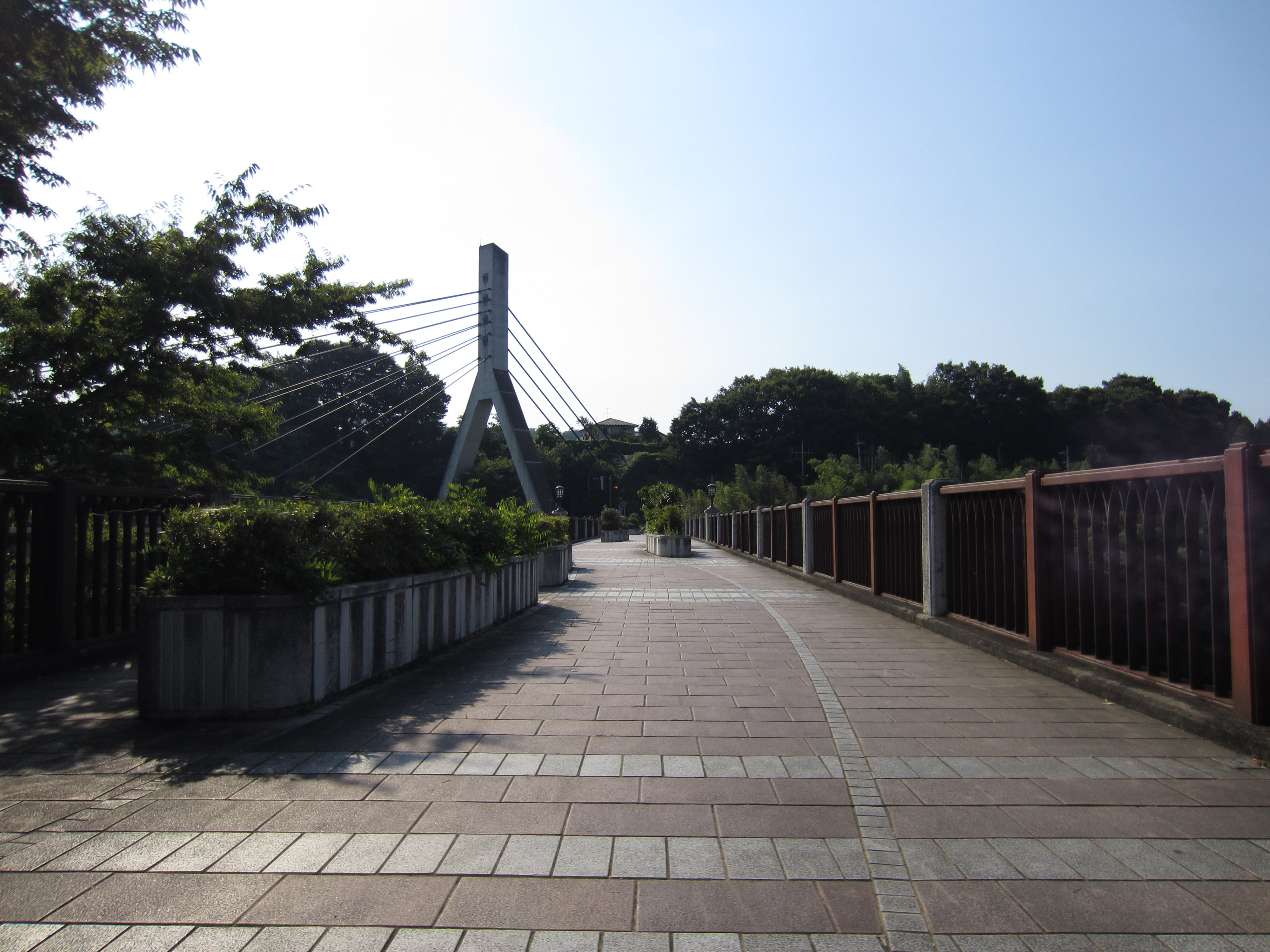 <b>画面端の木の葉の描写の甘さや少々の歪曲収差は見られますが、日常使いのコンパクトデジタルカメラとしては満足レベル。IXY 410F / 約2.5MB / 4,000×3,000 / 1/320秒 / F8 / 0EV / ISO100 / プログラムAE / WB:オート / 4.3mm</b>