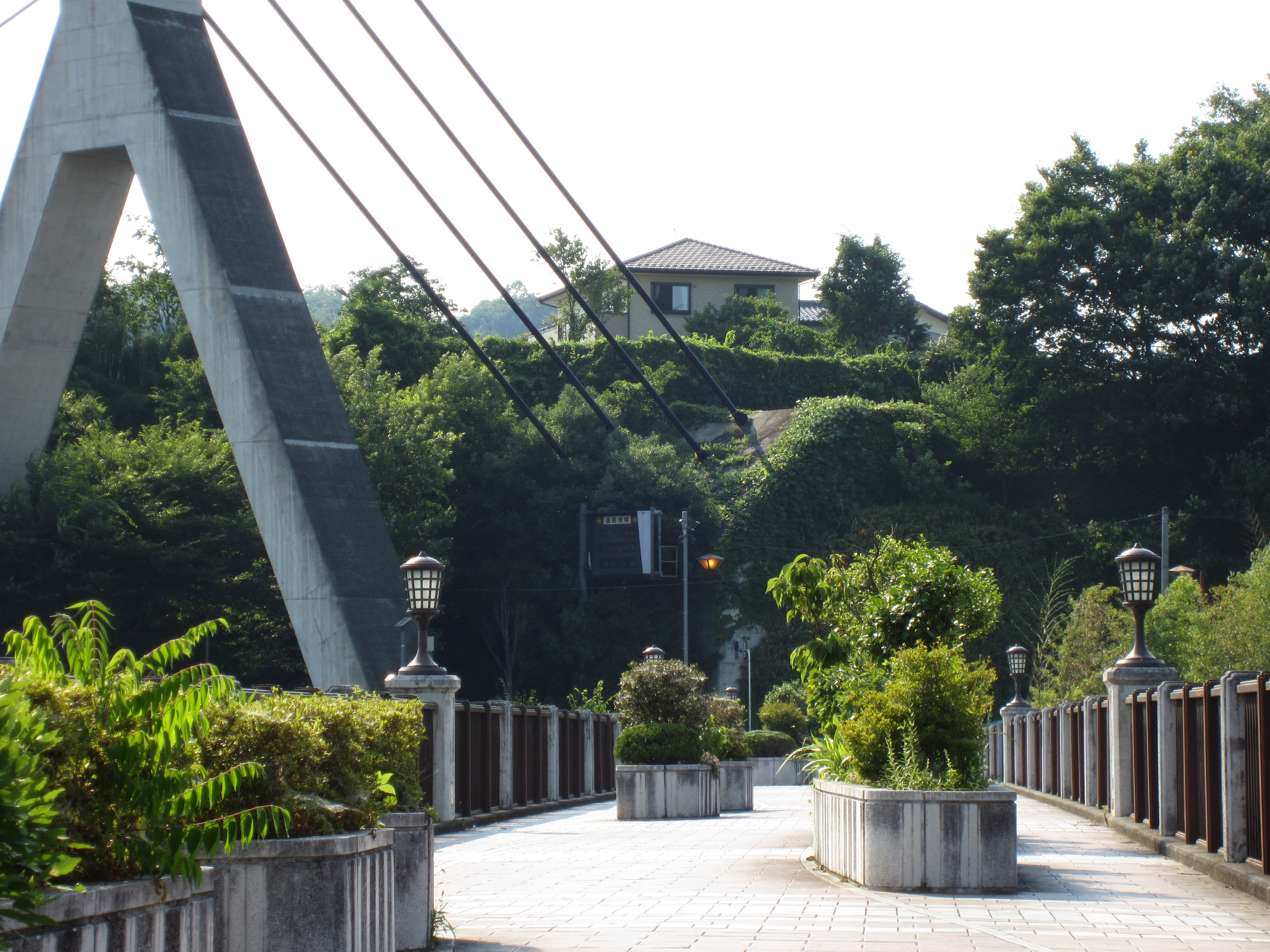 <b>全体に見た目に近い画を作り出しているので、望遠端としては優秀でしょう。IXY 410F / 約3.1MB / 4,000×3,000 / 1/160秒 / F5.9 / 0EV / ISO100 / プログラムAE / WB:オート / 21.5mm</b>