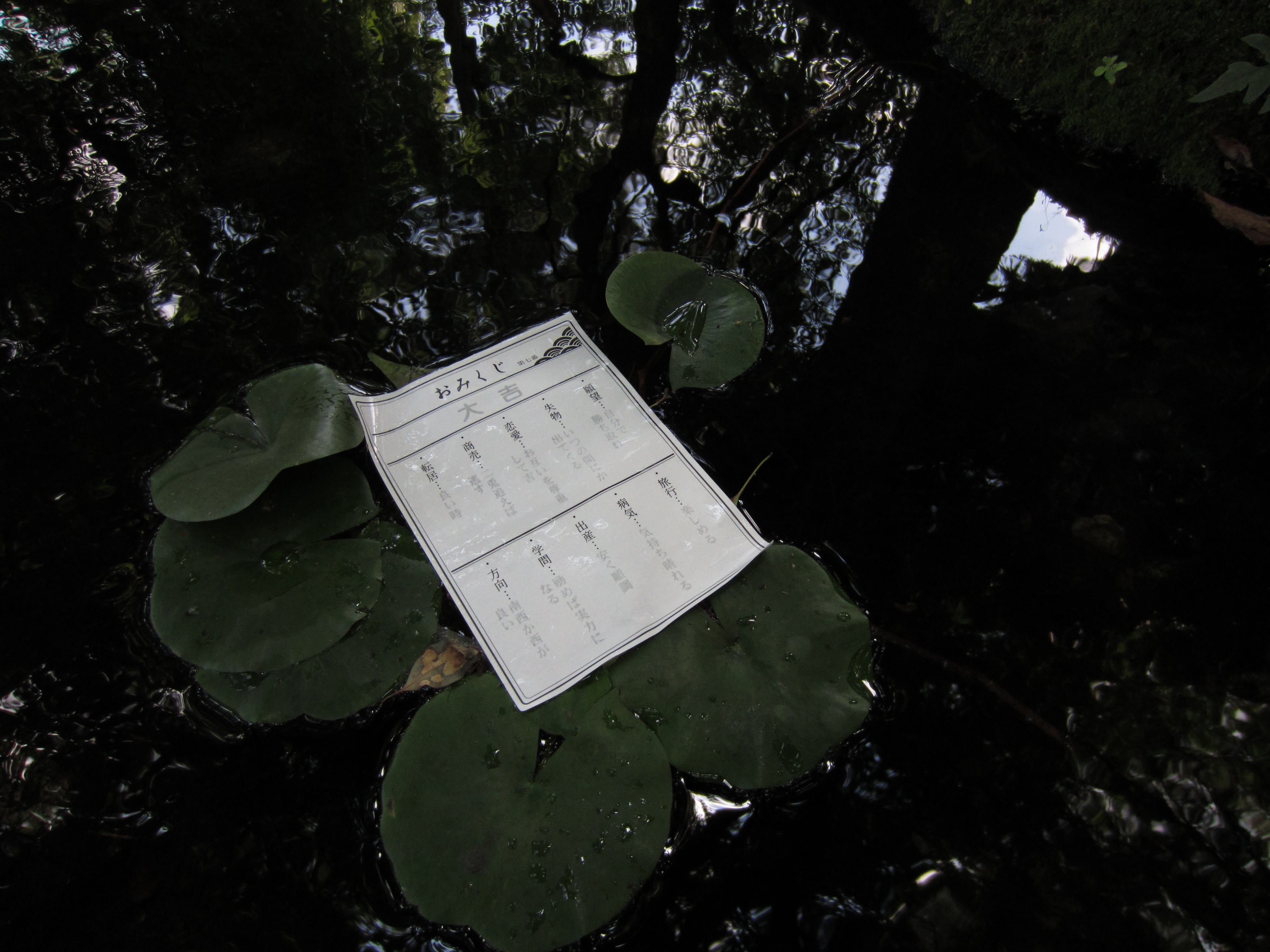 <b>ISO400 / IXY 410F / 約1.9MB / 4,000×3,000 / 1/320秒 / F2.7 / 0EV / ISO400 / プログラムAE / WB:オート / 4.3mm</b>