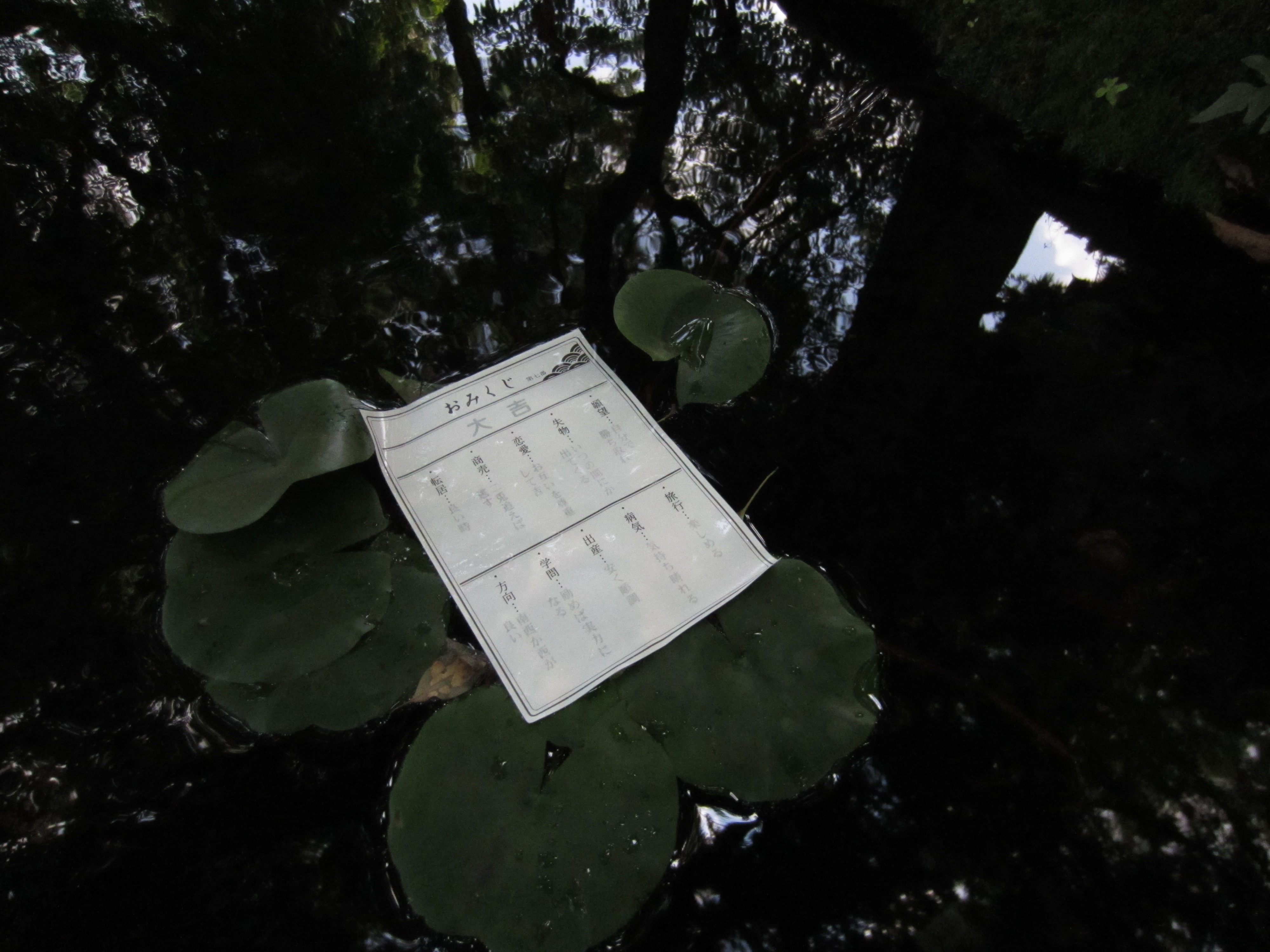 <b>ISO1600 / IXY 410F / 約1.8MB / 4,000×3,000 / 1/200秒 / F8 / 0EV / ISO1600 / プログラムAE / WB:オート / 4.3mm</b>