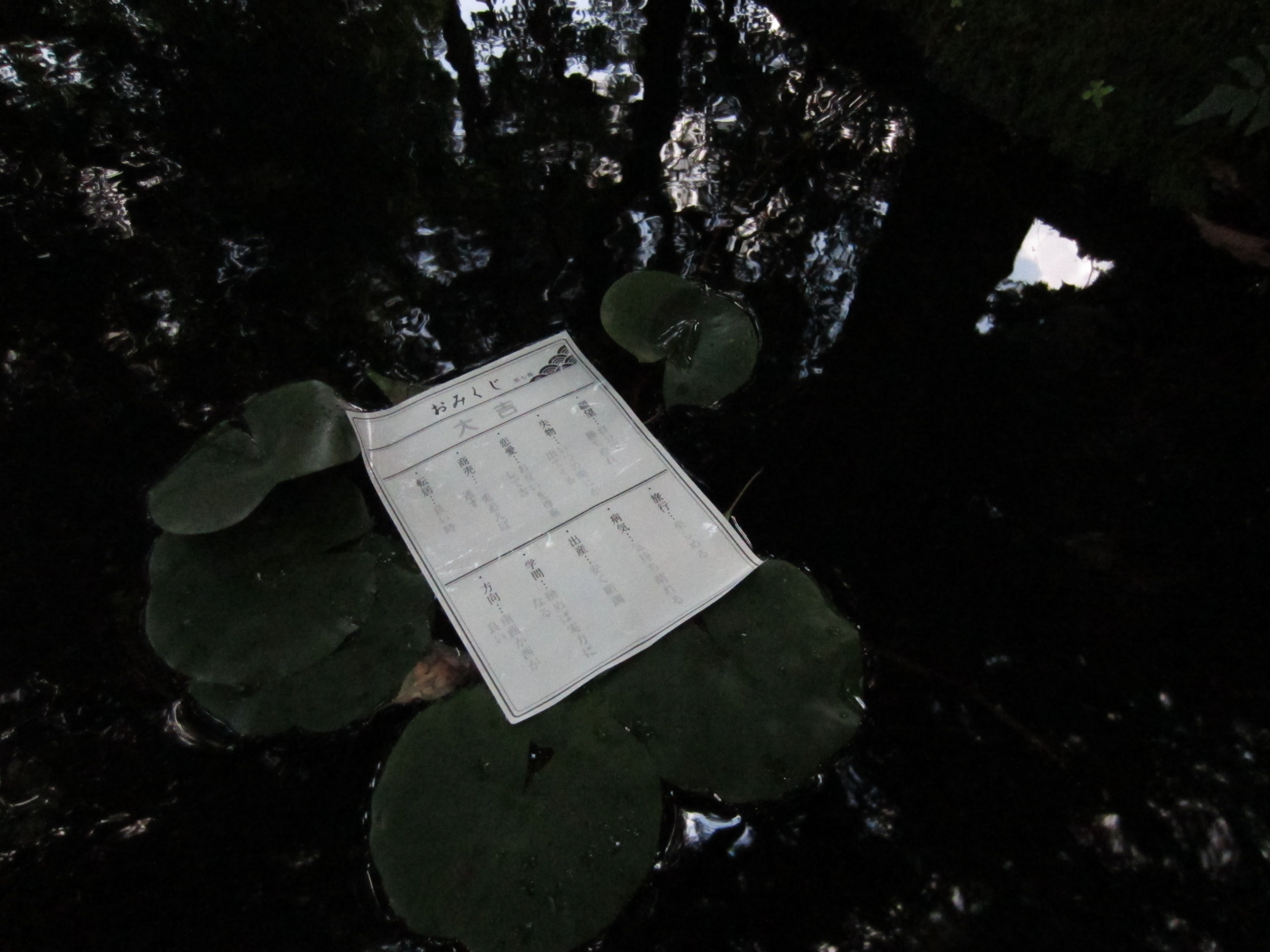 <b>ISO3200 / IXY 410F / 約1.7MB / 4,000×3,000 / 1/400秒 / F8 / 0EV / ISO3200 / プログラムAE / WB:オート / 4.3mm</b>