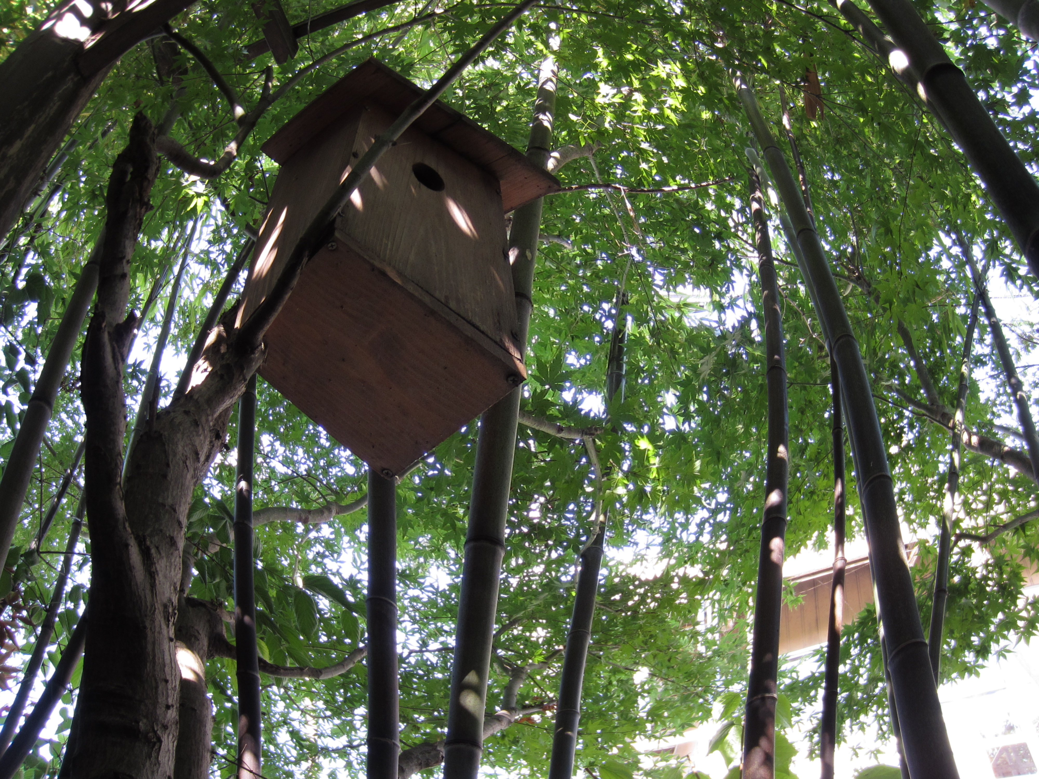 <b>かき氷を食べたお店の庭にあった鳥の巣箱を真下から魚眼風で撮影。残念ながら鳥は不在でした。魚眼風 / IXY 410F / 約3.3MB / 4,000×3,000 / 1/60秒 / F2.7 / 0EV / ISO160 / 魚眼風 / WB:オート / 4.3mm</b>