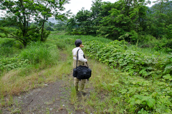 <b>駐車場から離れてどんどんと水辺の方へ向かっていく</b>