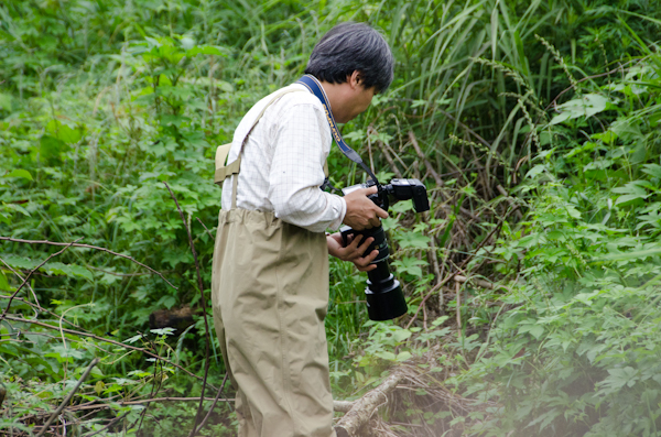<b>ボクが小川の流れと戦いながら歩いてるうちにも、どんどん奥へと進んだトンボさんは「ここにトンボいますよー!」って、早速撮影開始していた（驚!）</b>