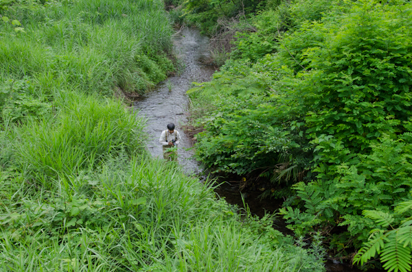 <b>自然がある場所へ行くのが珍しいボクの脳裏には「分け入っても 分け入っても 青い山」という種田山頭火の俳句が浮かんできた</b>