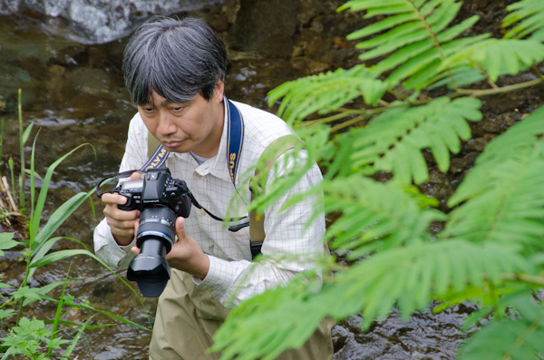 <b>自然がある場所へ行くのが珍しいボクの脳裏には「分け入っても 分け入っても 青い山」という種田山頭火の俳句が浮かんできた</b>
