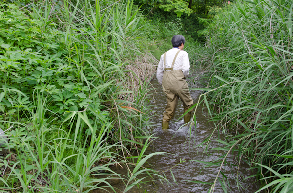 <b>必至になってトンボさんを追うが……</b>