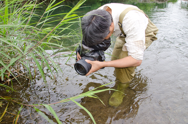 <b>腰を屈めてそろーっとじわーっと獲物に近づいていく</b>