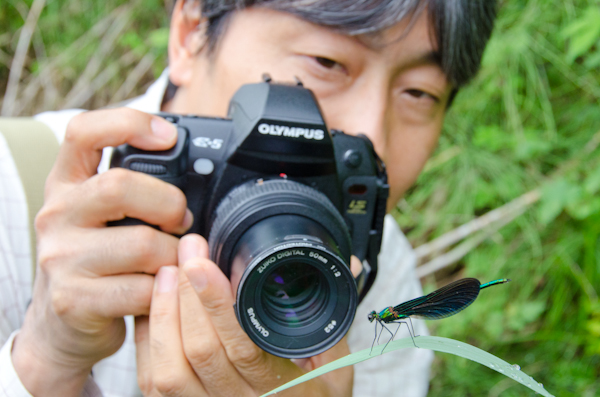 <b>この至近距離でもトンボさんの前ではトンボが逃げない。やはり一体化しているんだろうなあ</b>