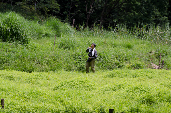 <b>場所は違うが、初夏の自然を満喫しながら歩いていると前回同様に「青い山」を思い出した</b>