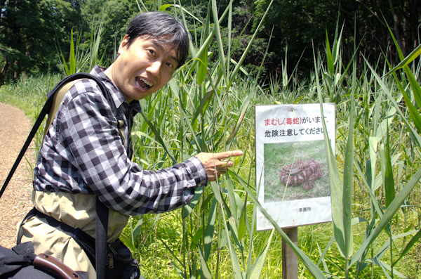 <b>なんてノンビリしてたら、立て看板に、「危険!! マムシ（毒蛇）がいます。注意してください。」ブルブルっ</b>