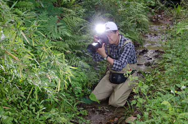 <b>逆光時や薄暗い場所ではトンボの色を出すために、クリップオンストロボの日中シンクロが威力を発揮する</b>