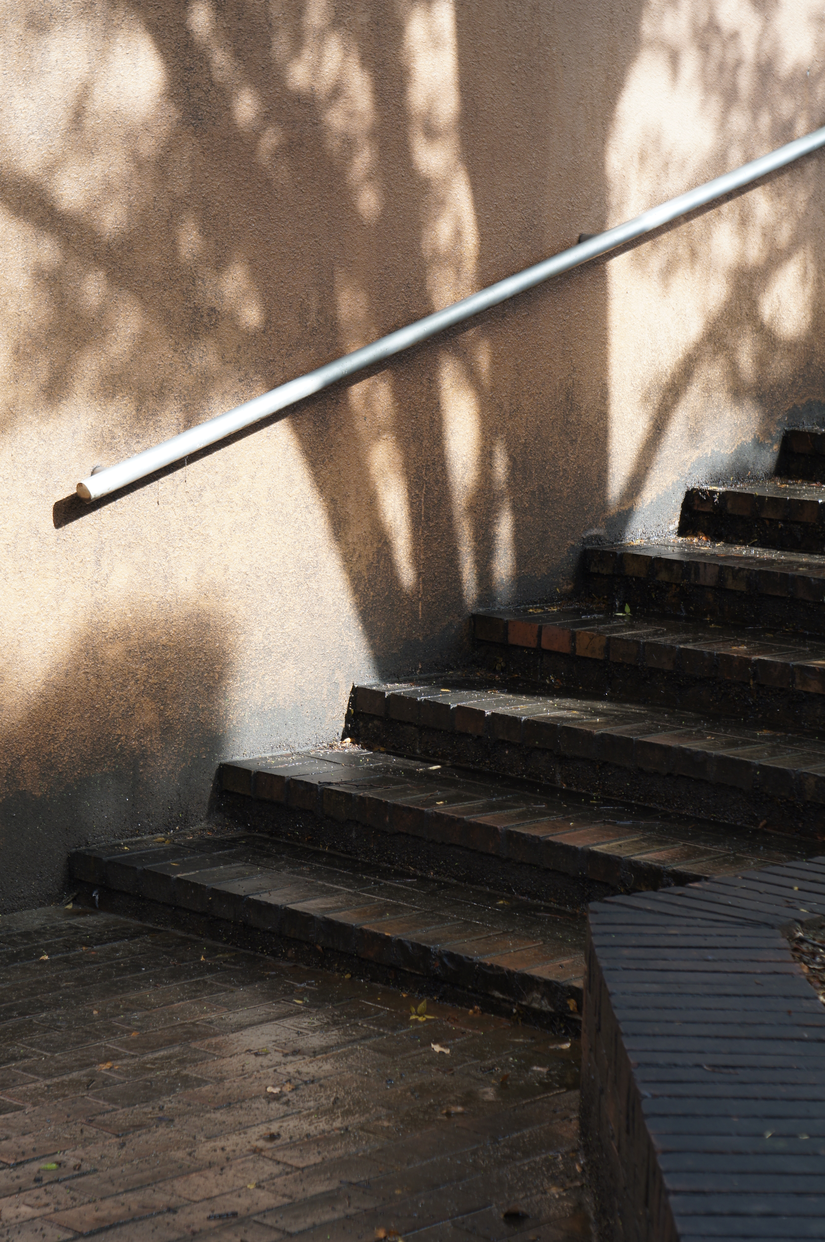 <b>NEX-C3 / Tessar 50mm F2.8 / 4,912×3,264 / 1/125秒 / f5.6 / 0EV / ISO200 / WB:オート / 50mm</b>