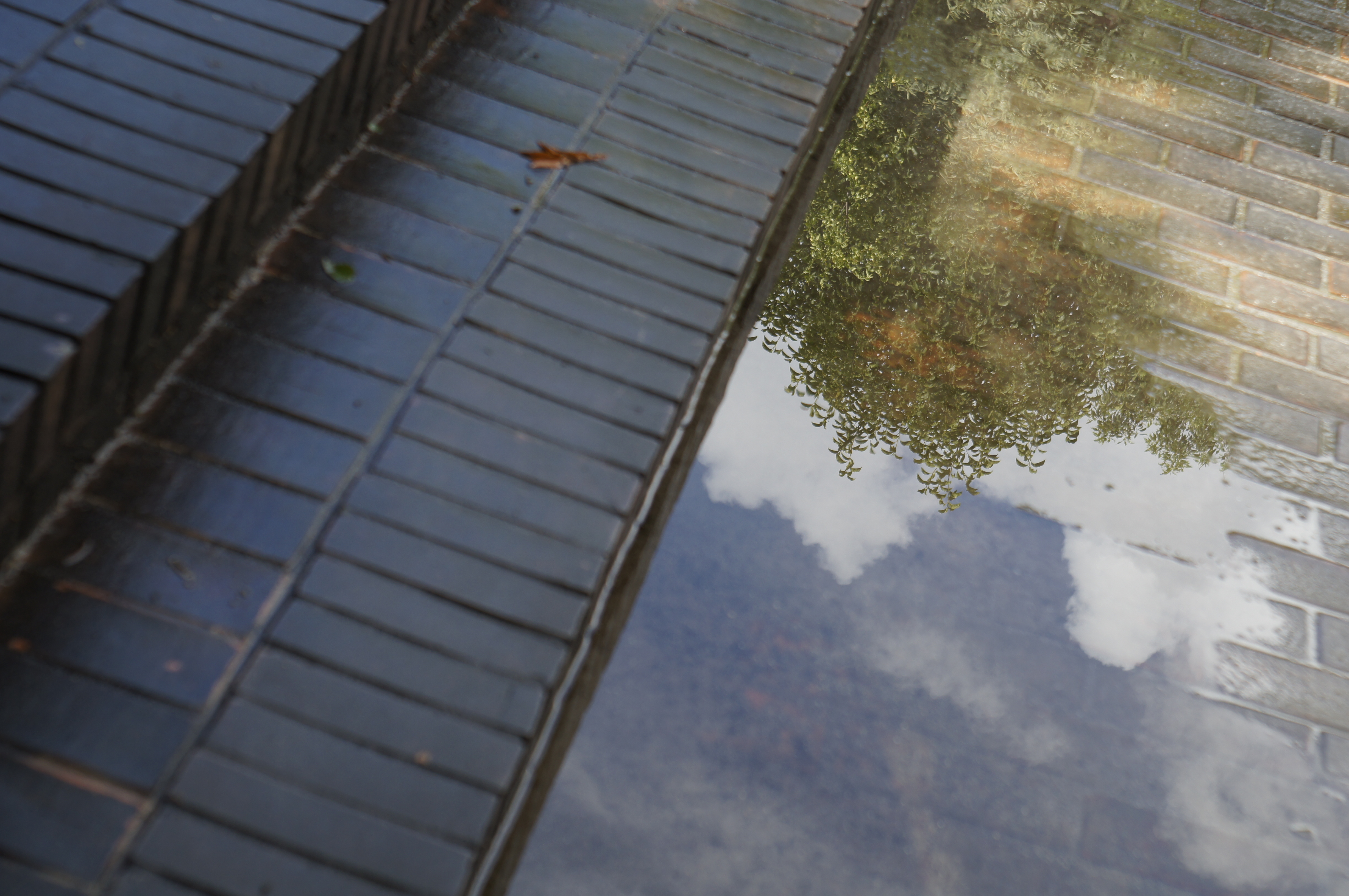 <b>NEX-C3 / Tessar 50mm F2.8 / 4,912×3,264 / 1/125秒 / f5.6 / -0.7EV / ISO200 / WB:オート / 50mm</b>