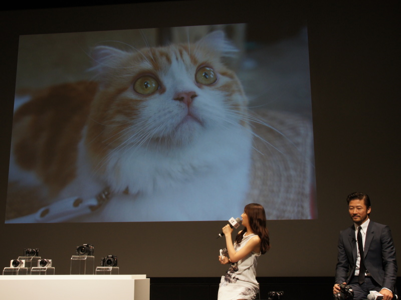 <b>スクリーンに北川さんが撮影した写真を投影。浅野さんは「北川さんの猫好きが窺えるかわいい写真」とコメント</b>