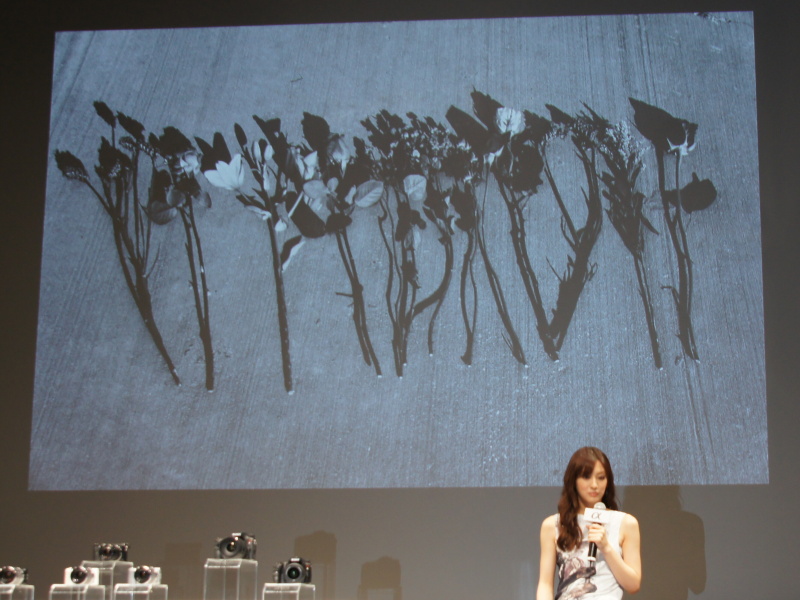 <b>ルイジアナ州の駐車場でTシャツのデザイン用に撮ったという写真などを投影。「駐車場で撮ったとは思えない。おしゃれでかっこいいと思う」と北川さん</b>