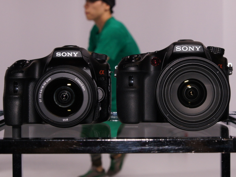 <b>α65（左）とα77（右）</b>