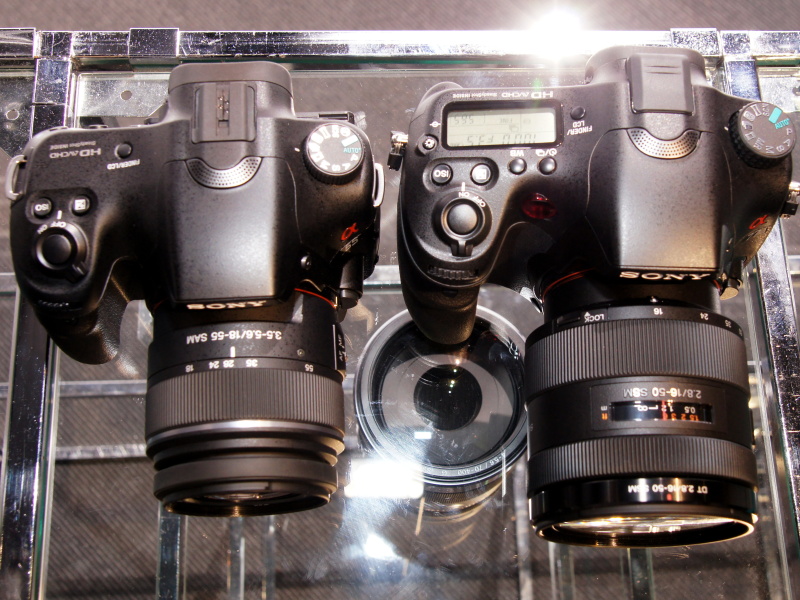 <b>α65（左）とα77（右）</b>