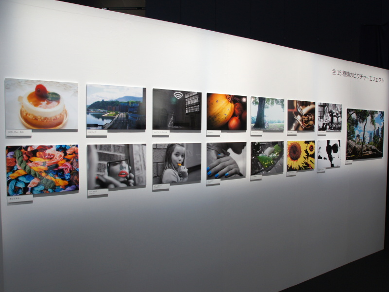 <b>会場にはαで撮影した写真のプリントを展示していた</b>