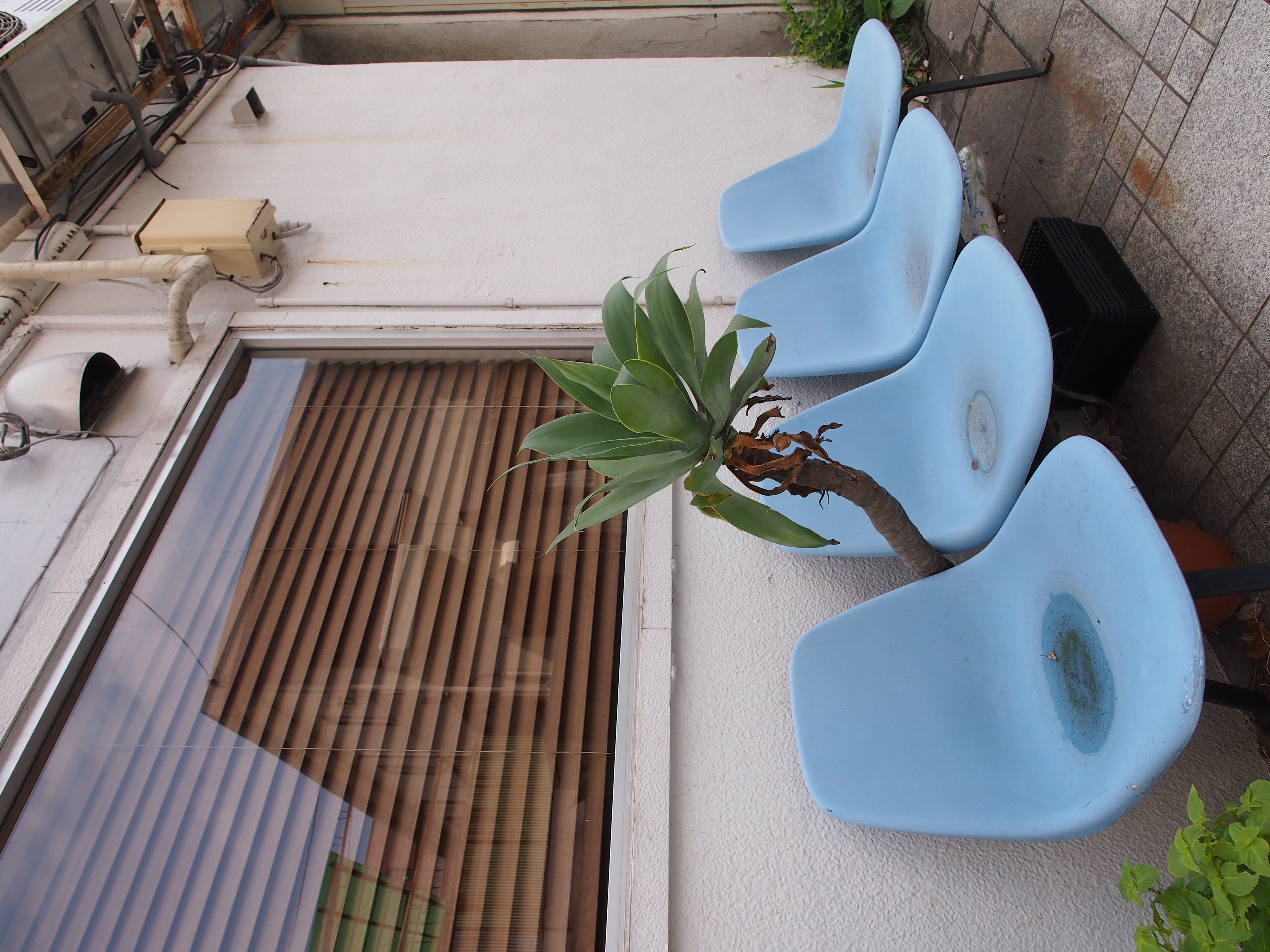 <b>E-P3 / M.ZUIKO DIGITAL ED 12mm F2 / 約5.7MB / 3024x4032 / 1/400秒 / F4.5 / +0.3EV / ISO200 / WB:オート / 12mm</b>