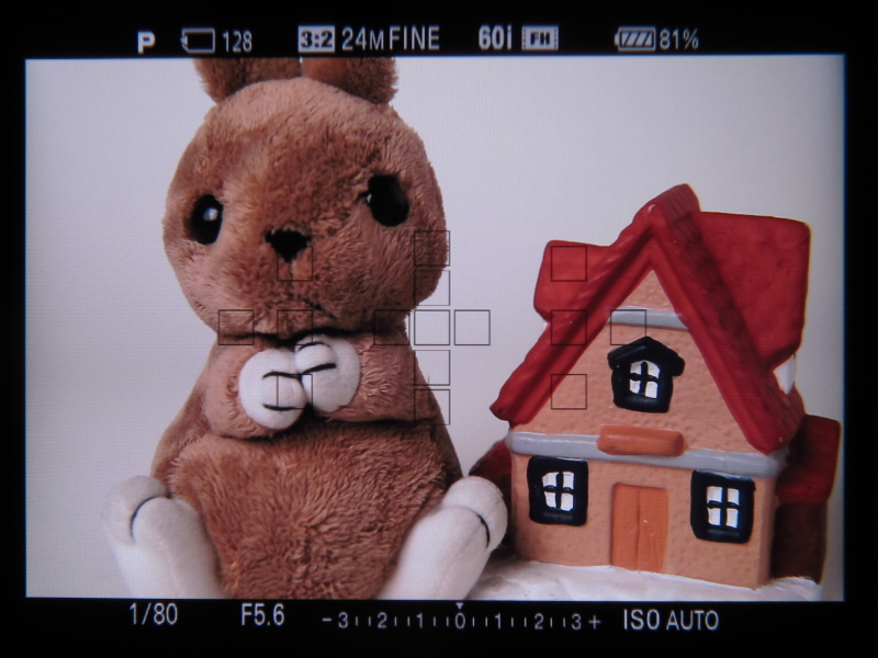 <b>電子ビューファインダー内の表示（コンパクトデジタルカメラで撮影）</b>