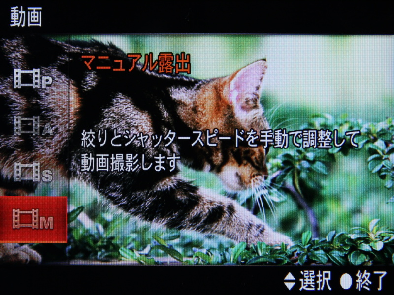 <b>動画記録時に絞り優先AEやマニュアル露出を利用可能になった</b>