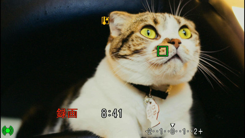 <b>ちなみに、自動シャットダウンしてから20分放置した後、手ブレ補正［切］でもムービー撮影を試してみたところ、8分40秒過ぎに警告が表示された</b>