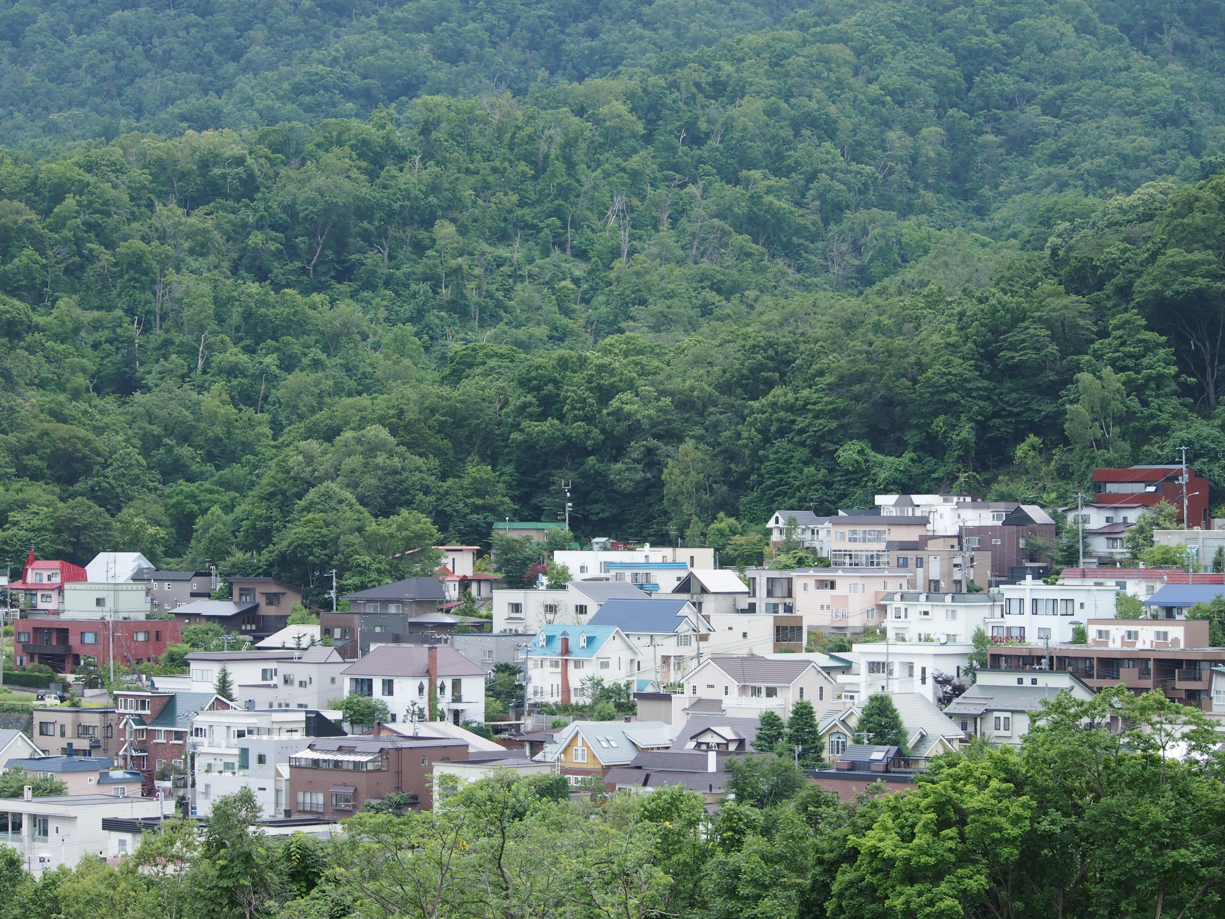 <b>ISO200 / 高感度ノイズ低減:標準 / シャープネス:-2</b>