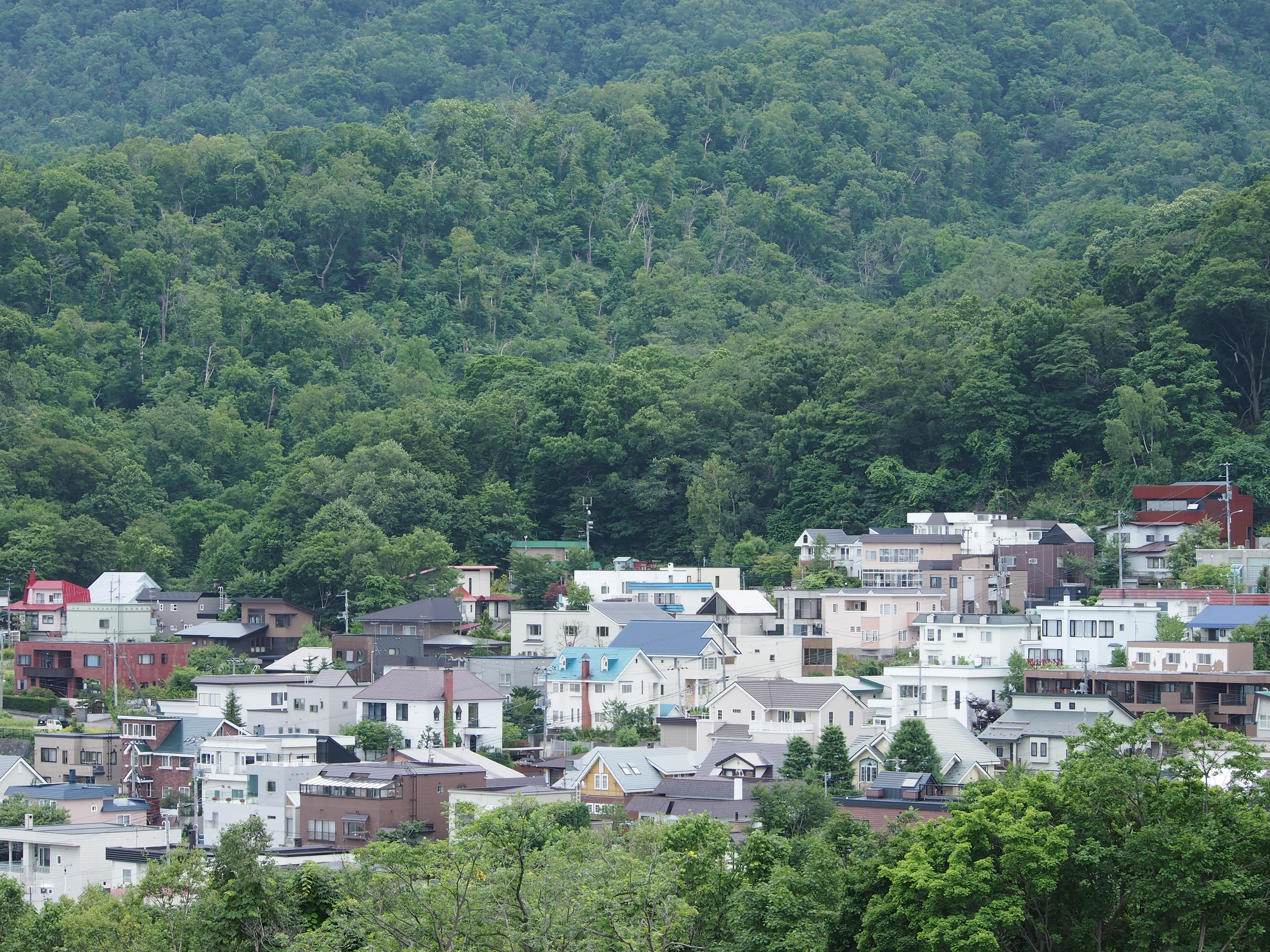 <b>ISO200 / 高感度ノイズ低減:標準 / シャープネス:0</b>