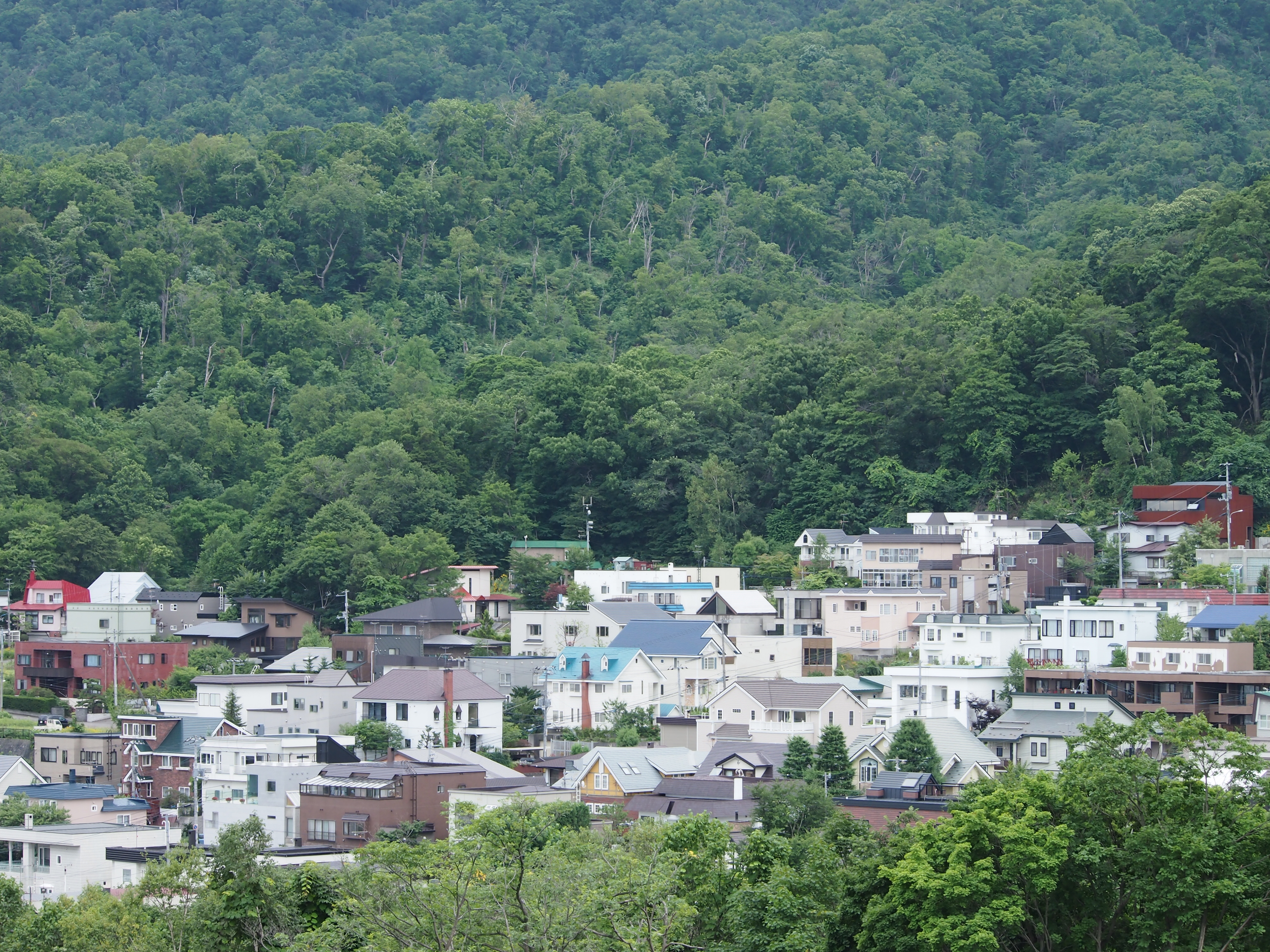 <b>ISO200 / 高感度ノイズ低減:強 / シャープネス:-1</b>