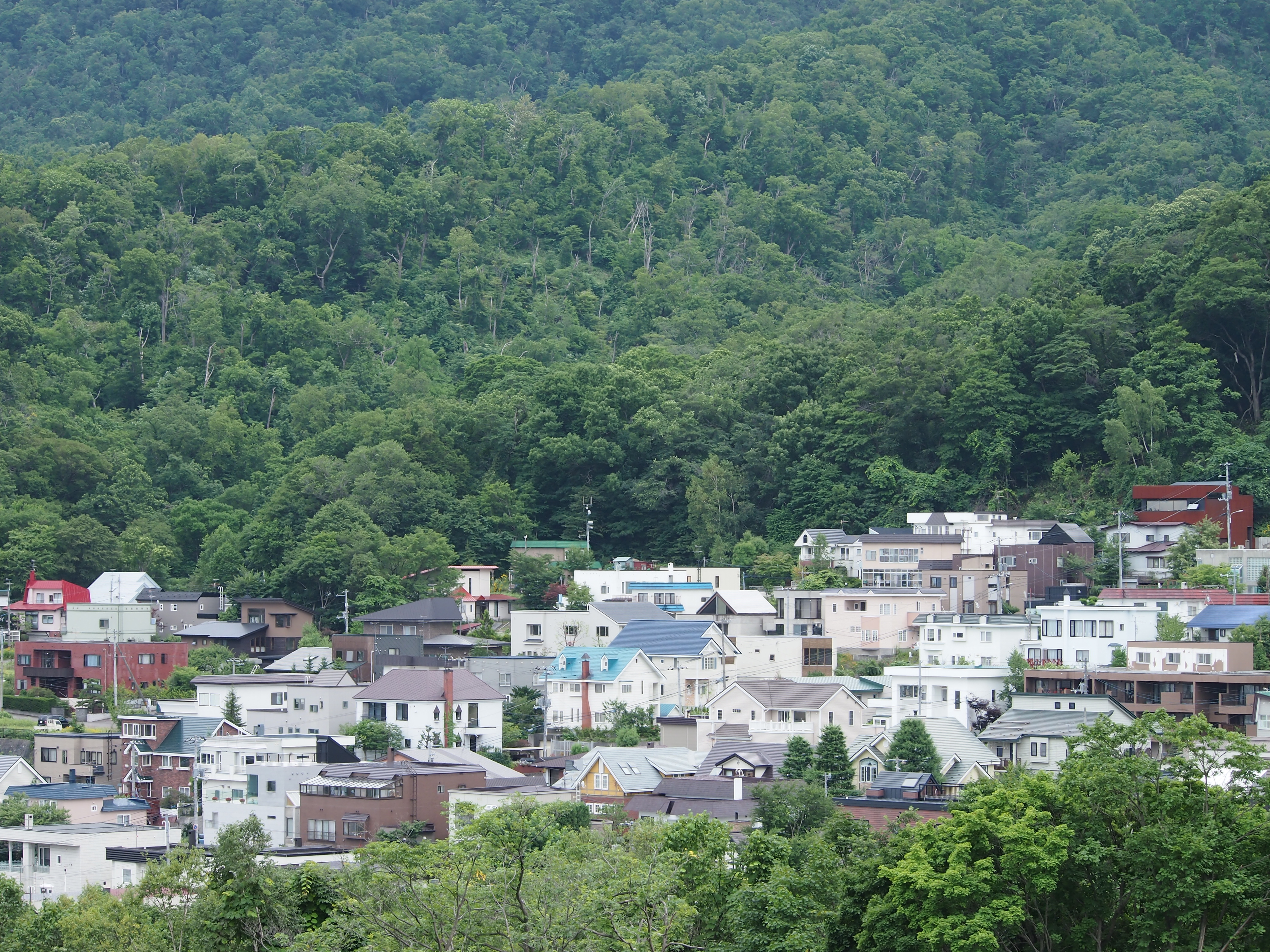 <b>ISO200 / 高感度ノイズ低減:強 / シャープネス:0</b>