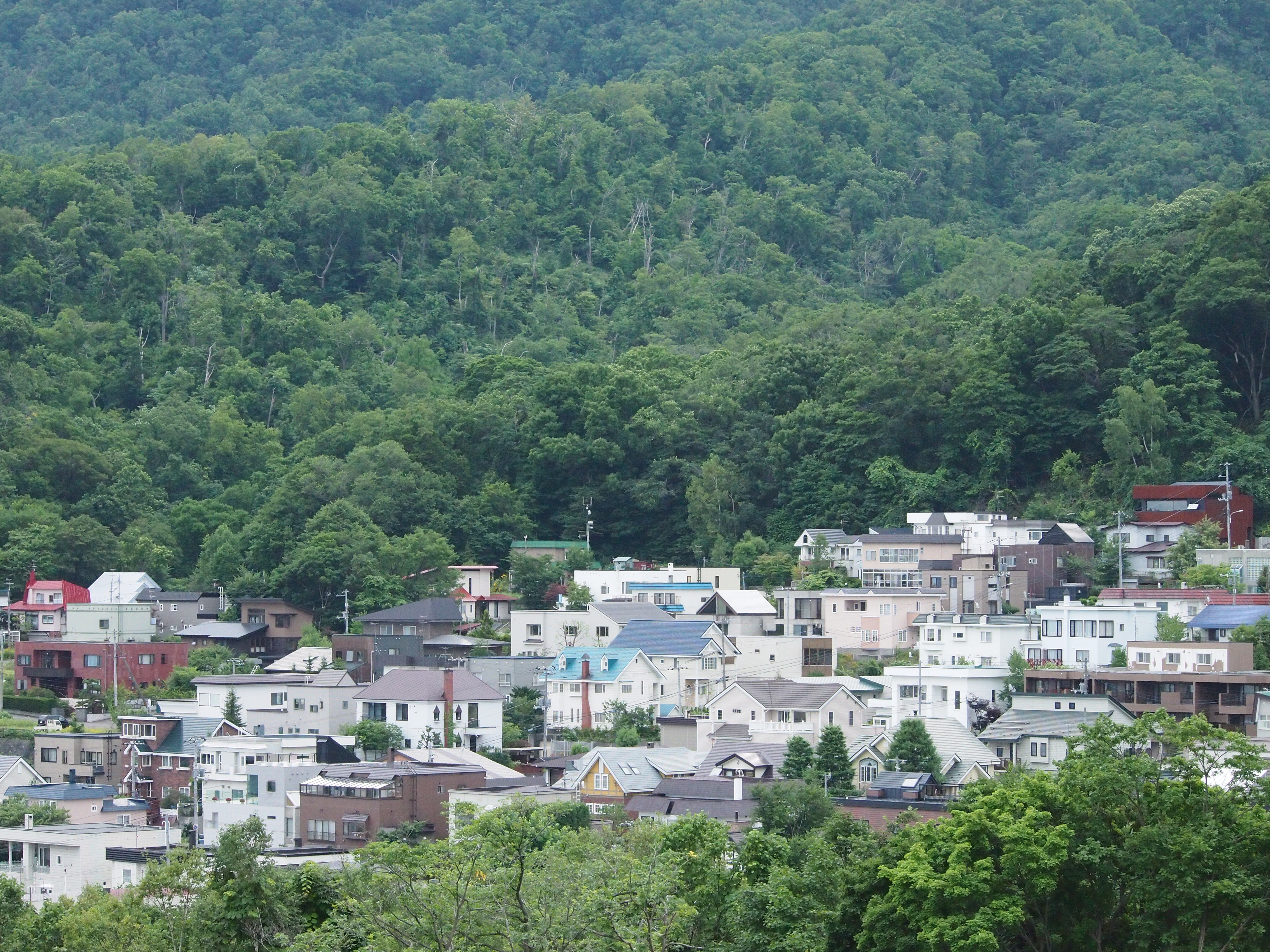 <b>ISO1600 / 高感度ノイズ低減:弱 / シャープネス:-1</b>