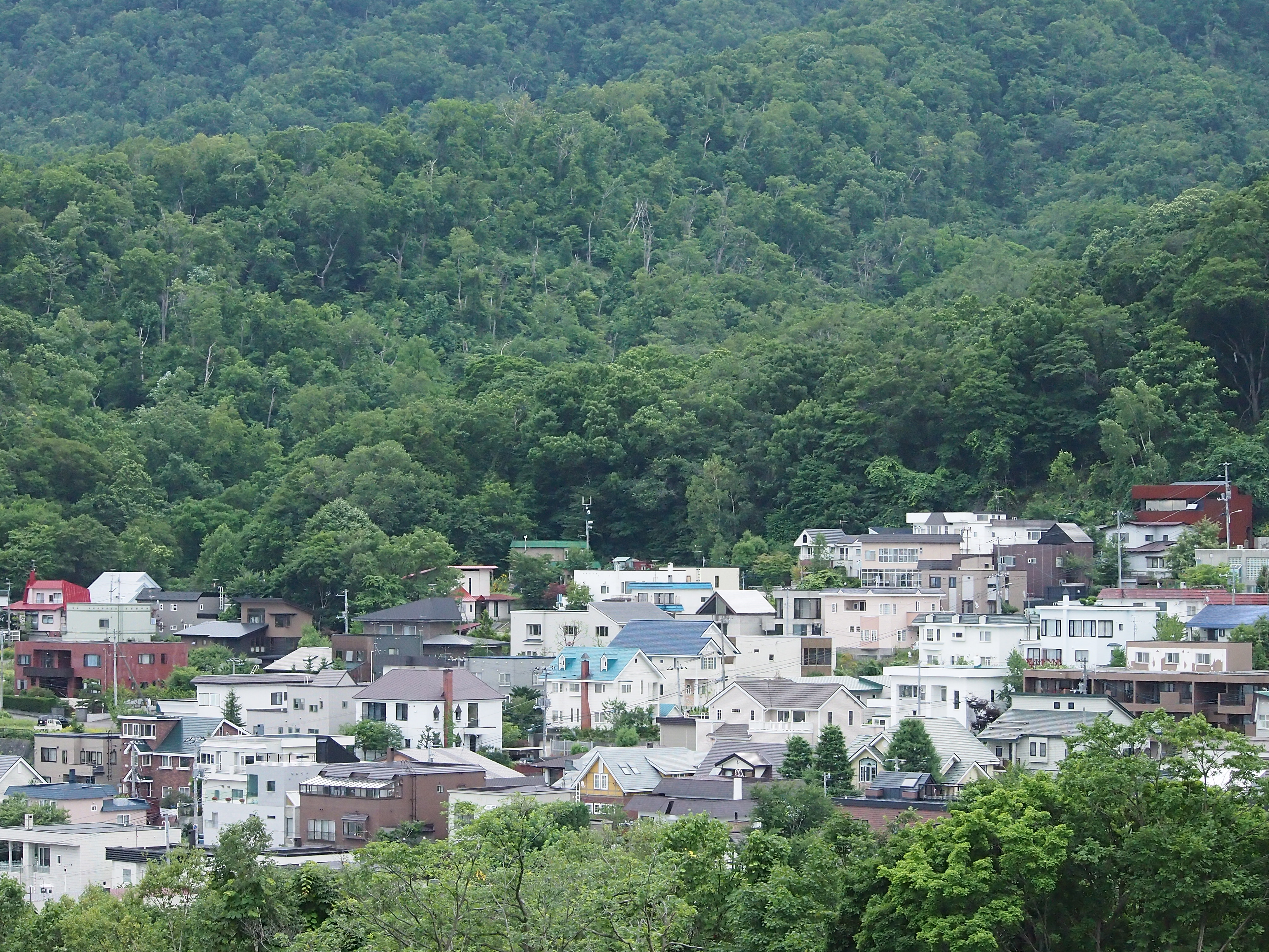 <b>ISO1600 / 高感度ノイズ低減:標準 / シャープネス:2</b>