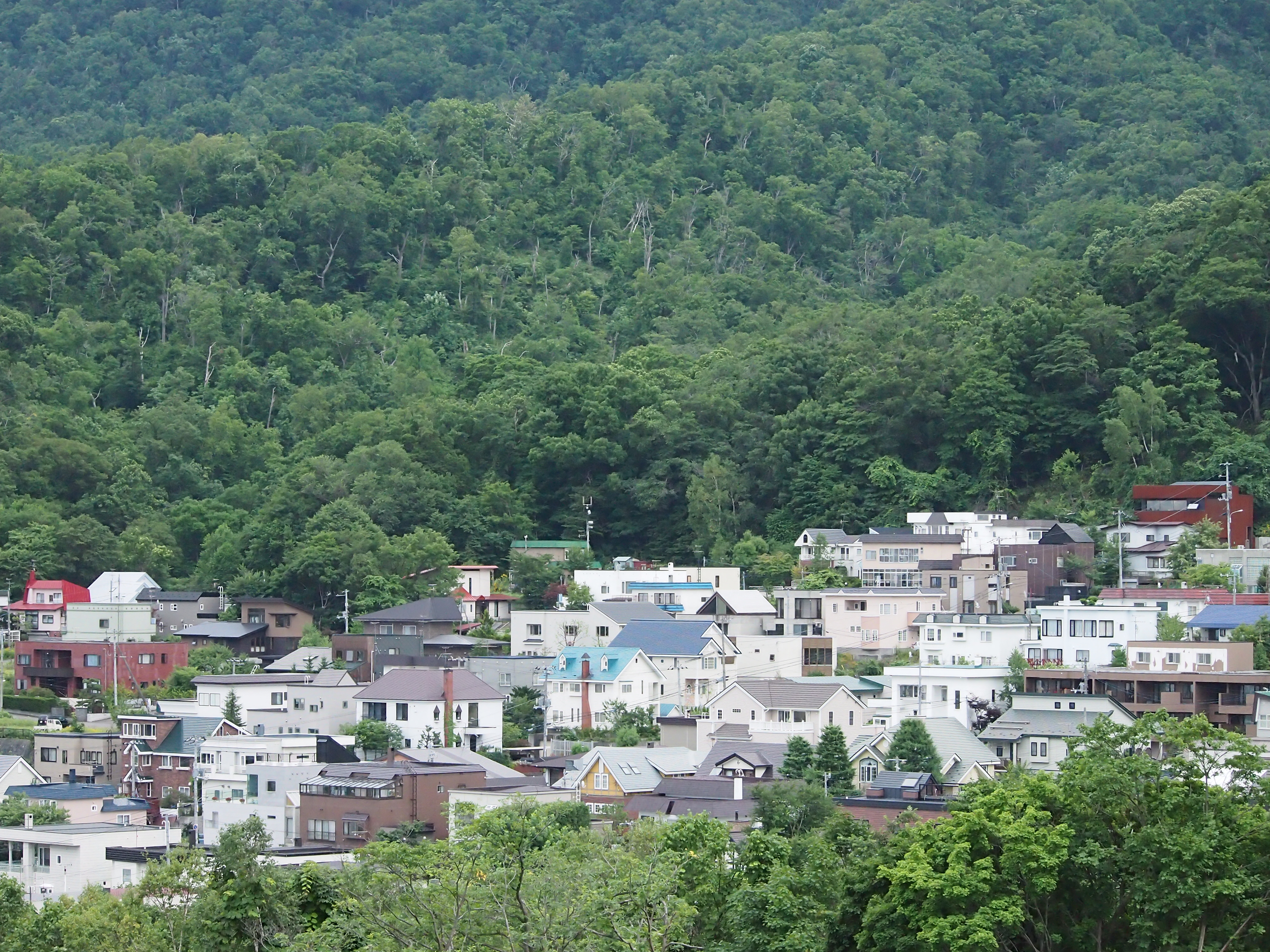 <b>ISO1600 / 高感度ノイズ低減:強 / シャープネス:1</b>