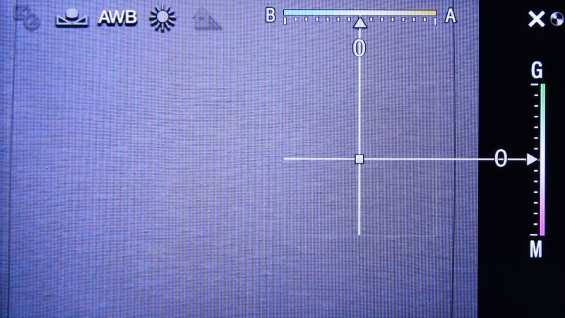 <b>ダイヤルでホワイトバランスを調節しているところ</b>