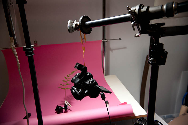 <b>こんな感じでカメラを吊り下げた。うまくフレームに被写体が収まるように撮影するのはけっこう大変。もうちょっと改造したいな</b>