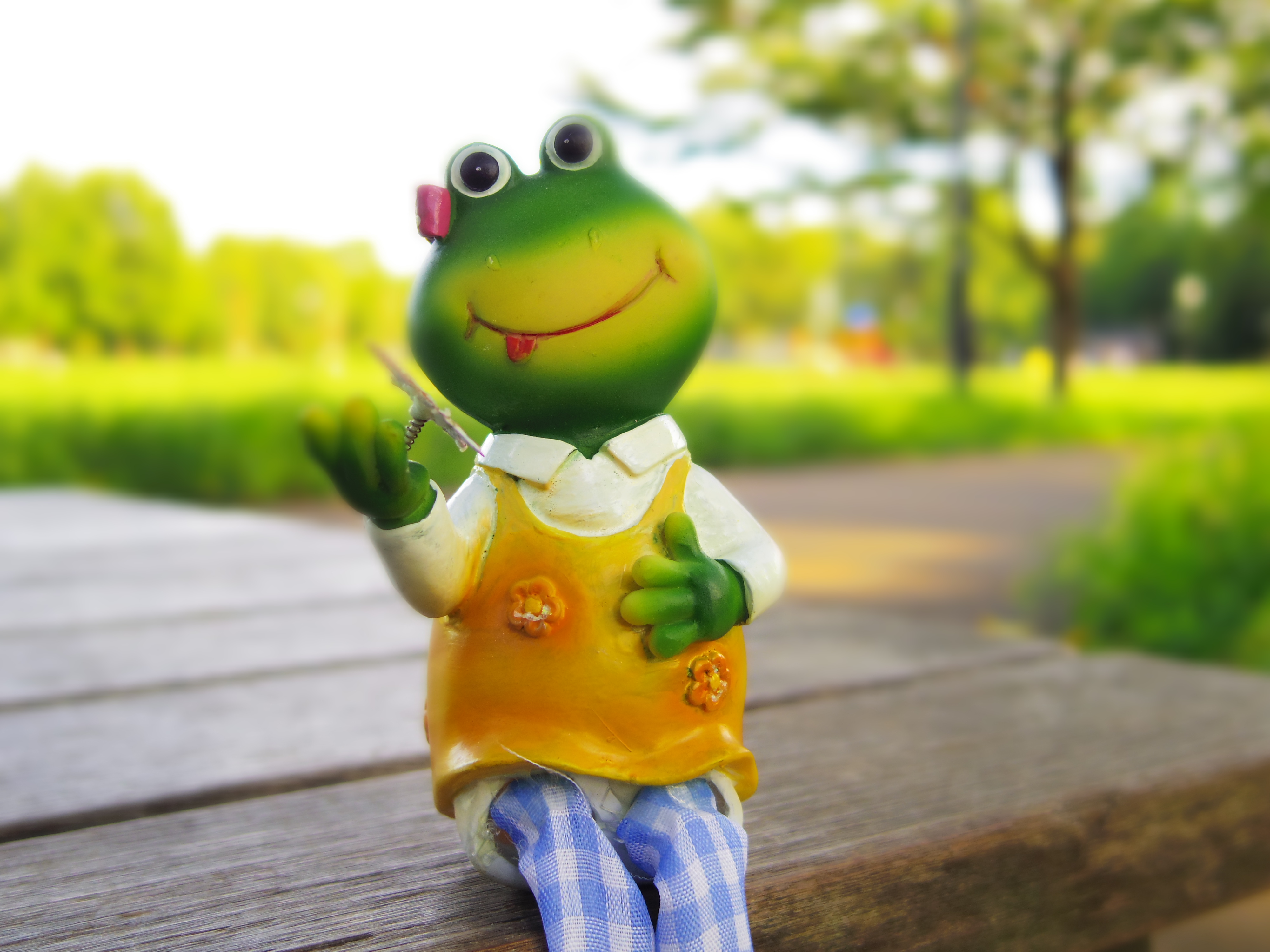 <b>BC:中 / PENTAX Q / PENTAX-01 STANDARD PRIME / 約1.8MB / 4,000×3,000 / 1/500秒 / F1.9 / +1.3EV / ISO125 / WB:曇天 / 8.5mm</b>