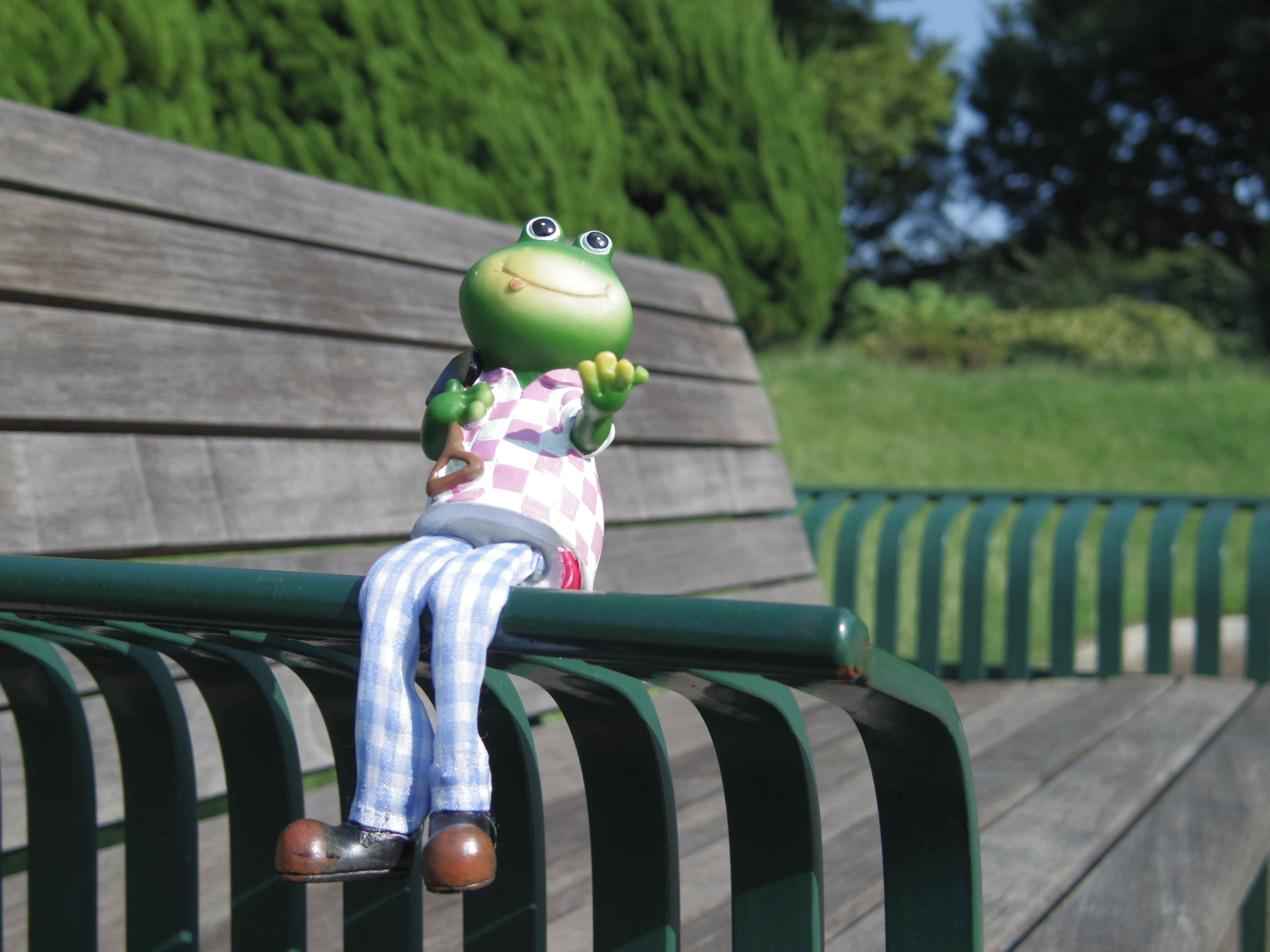 <b>カスタムイメージ:ナチュラル / PENTAX Q / PENTAX-01 STANDARD PRIME / 約2.0MB / 4,000×3,000 / 1/800秒 / F2 / +0.3EV / ISO125 / WB:太陽光 / 8.5mm</b>