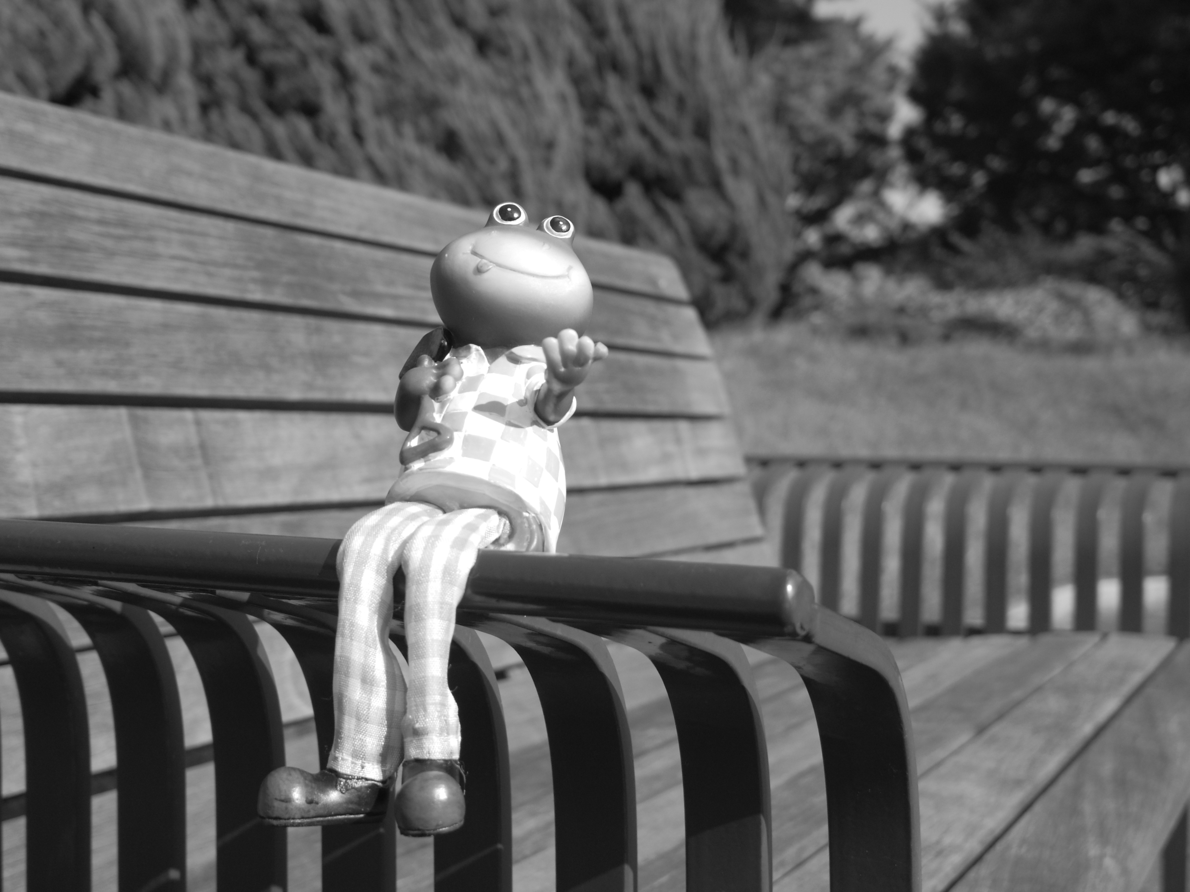 <b>カスタムイメージ:モノトーン / PENTAX Q / PENTAX-01 STANDARD PRIME / 約1.7MB / 4,000×3,000 / 1/800秒 / F2 / +0.3EV / ISO125 / WB:太陽光 / 8.5mm</b>