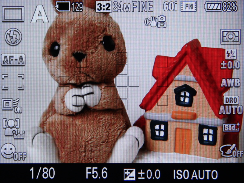 <b>撮影設定をオーバーレイ表示したところ</b>