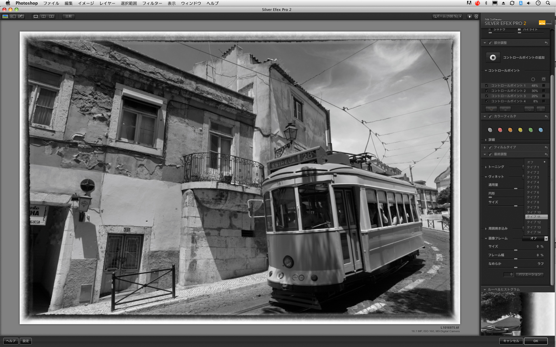 <b>こちらのフレームはタイプ11。かすれた雰囲気で、味わい深い仕上がりになる</b>