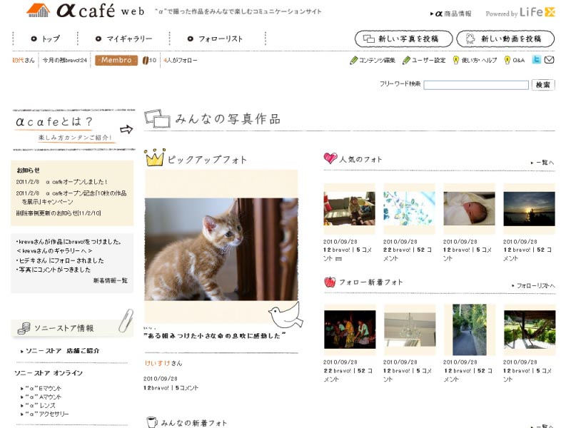 <b>αCafe</b>