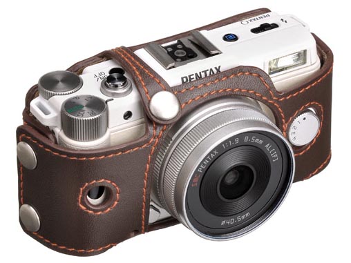 <b>チョコブラウン（DBS-PQCH）</b>